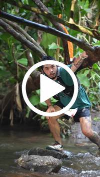 BIB:  <button type="button" onclick="openModal(27808878)" class="btn btn-primary btn-sm float-right" data-toggle="modal" data-target=".modal-high-quality">
                <i class="fa fa-download"></i> Download
                </button>